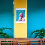 Funky Monkey Bali